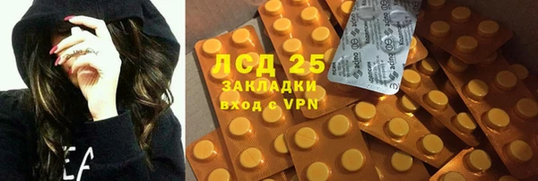 первитин Богданович