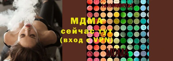 первитин Богданович