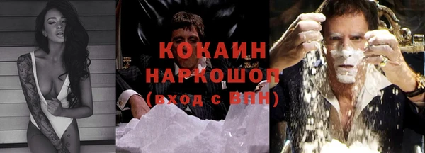 первитин Богданович