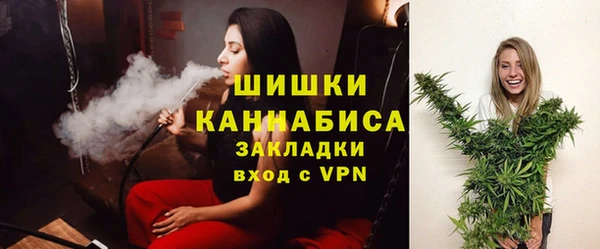 первитин Богданович