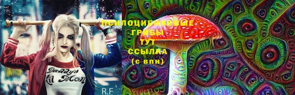 jwh Богородицк