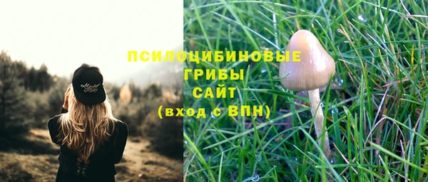первитин Богданович