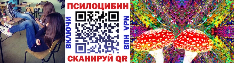 blacksprut маркетплейс  Вязники  Галлюциногенные грибы мухоморы 