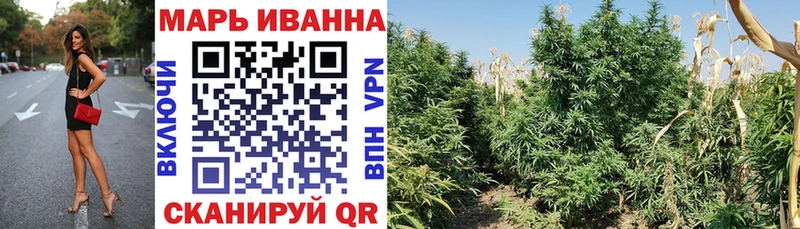 купить   Вязники  Конопля OG Kush 